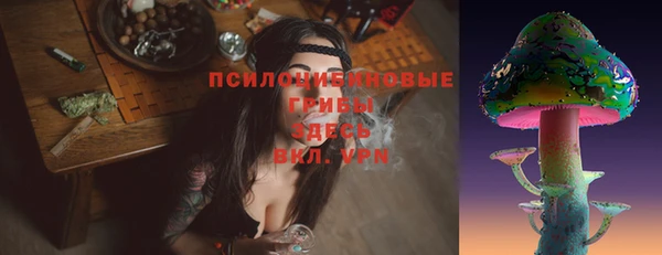 дмт Алзамай