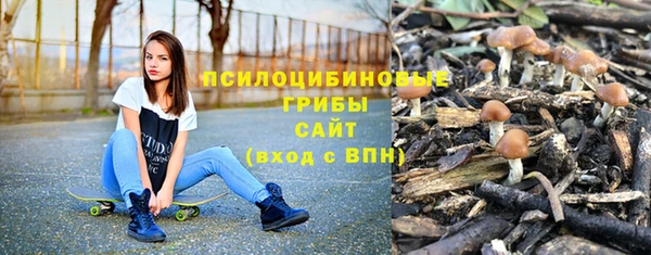 дмт Алзамай