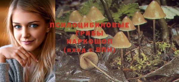 дмт Алзамай