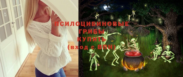 молекула духа Алексин